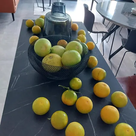 Appartement Bella Arte Dubrovnik Komolac