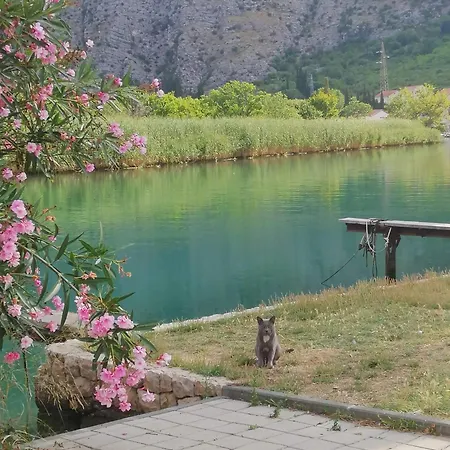 Bella Arte Dubrovnik *