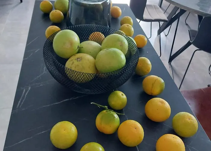 Appartement Bella Arte Dubrovnik Komolac