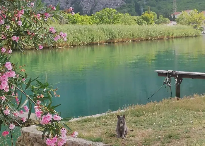 Bella Arte Dubrovnik *